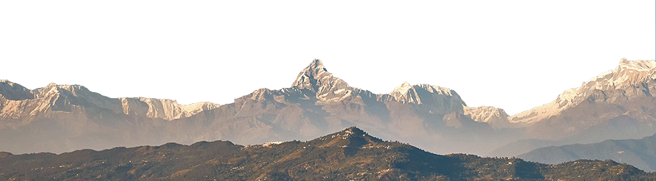 Counter Banner
