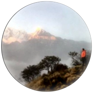 Author Icon